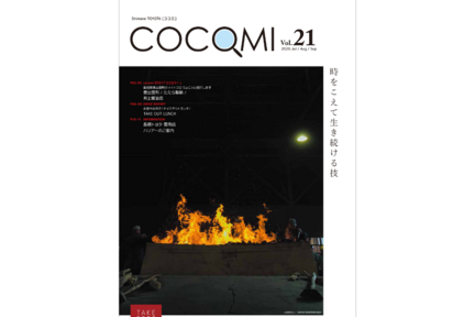 cocomi_vol21