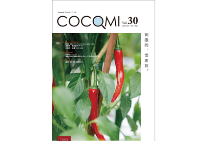 cocomi30