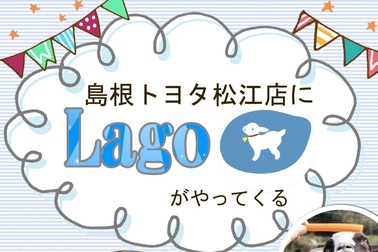 やぎ